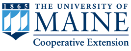 University of Maine CE